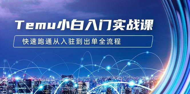 Temu小白入门实战课:跨境拼多多电商培训 快速跑通从入驻到出单全流程-12节-1 Temu小白入门实战课:跨境拼多多电商培训 快速跑通从入驻到出单全流程-12节-1