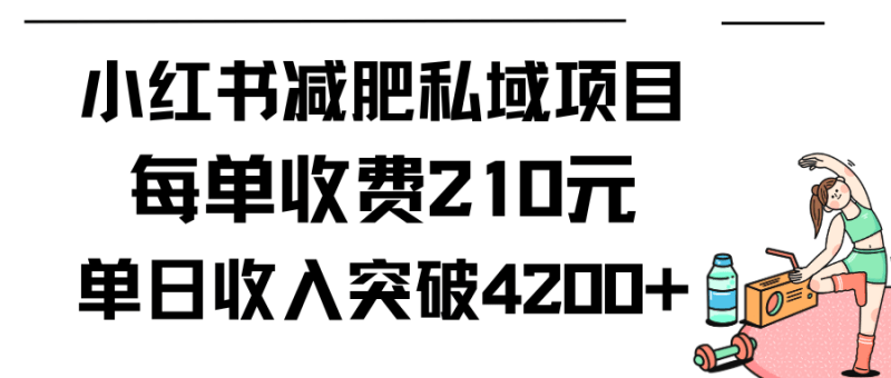 小红书减肥私域项目每单收费210元单日成交20单,最高日入4200+-1 小红书减肥私域项目每单收费210元单日成交20单,最高日入4200+-1