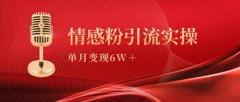 单月变现6w+,情感粉引流变现实操课-1 单月变现6w+,情感粉引流变现实操课-1
