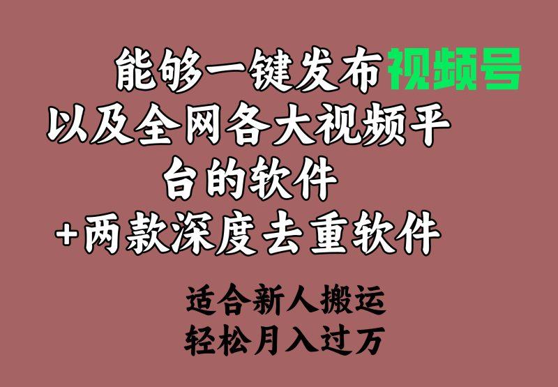 能够一键发布视频号以及全网各大视频平台的软件+两款深度去重软件 适合…-1 能够一键发布视频号以及全网各大视频平台的软件+两款深度去重软件 适合…-1