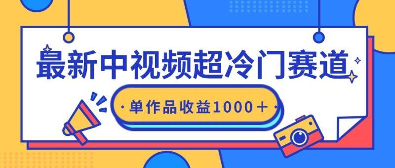 最新中视频超冷门赛道，轻松过原创，单条视频收益1000＋-1