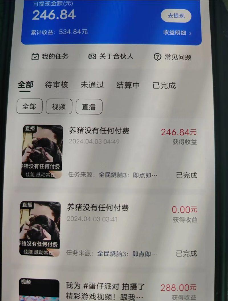 游戏看广告 无需养机 操作简单 没有成本 日入500+-3