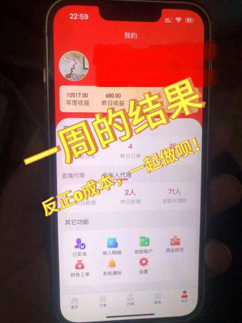 流量卡代理掘金，日躺赚3000+，首码平台变现更暴力，多种推广途径，新…-3