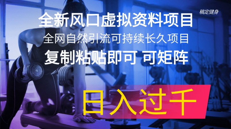 全新风口虚拟资料项目 全网自然引流可持续长久项目 复制粘贴即可可矩阵…