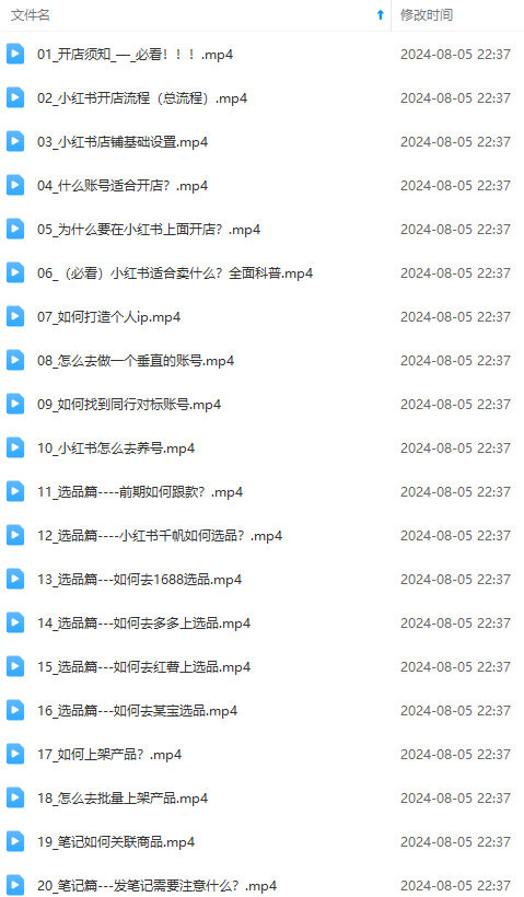 2024小红书电商实战课：全体系打造 全方位梳理 小红书电商逻辑体系 (42节)-2