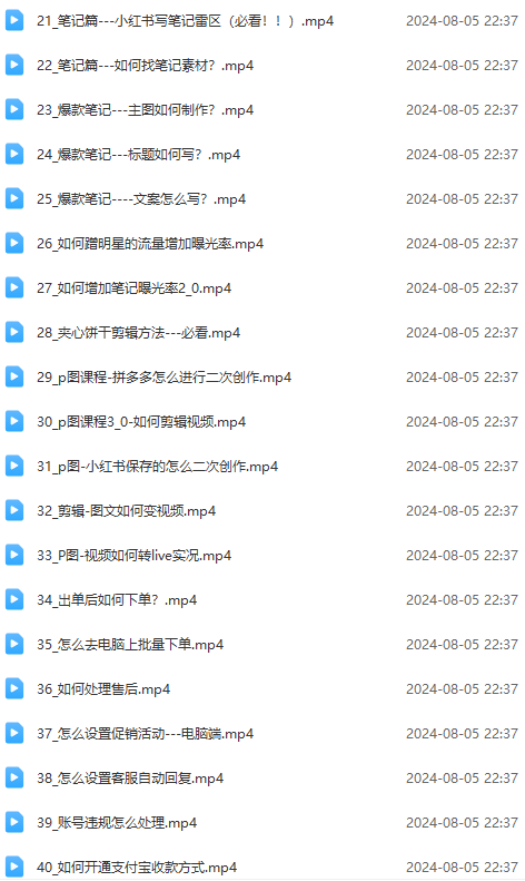 2024小红书电商实战课：全体系打造 全方位梳理 小红书电商逻辑体系 (42节)-3