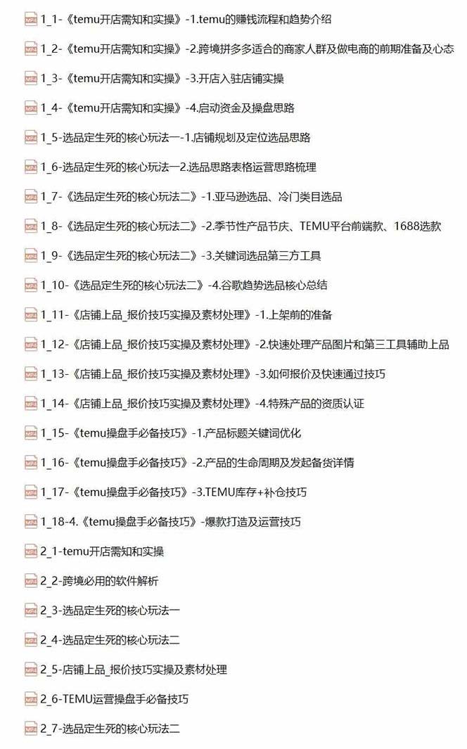 2024-TEMU拼多多·跨境开店、运营、选品（25节视频课）-1