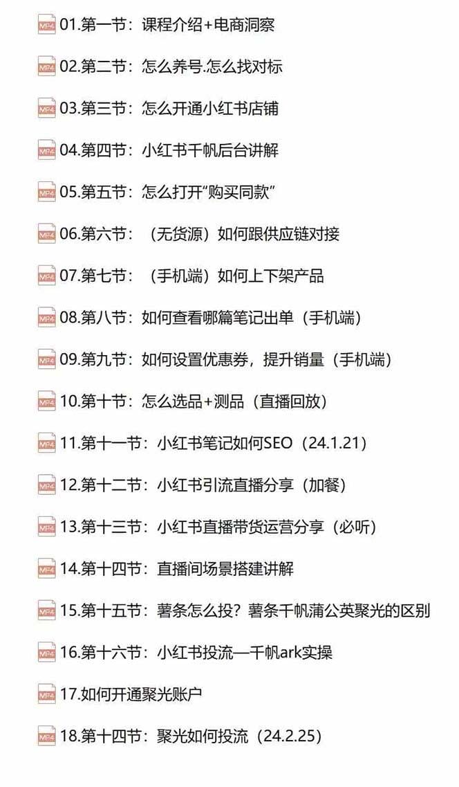 小红书快速赚钱电商特训营：用简单方式通过小红书快速变现！-2