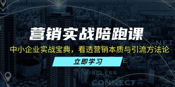 营销实战陪跑课：中小企业实战宝典，看透营销本质与引流方法论