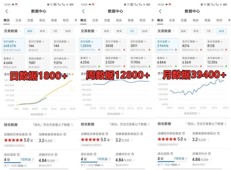 拼多多虚拟店铺项目，电脑挂机自动发货，单店日利润300+-3