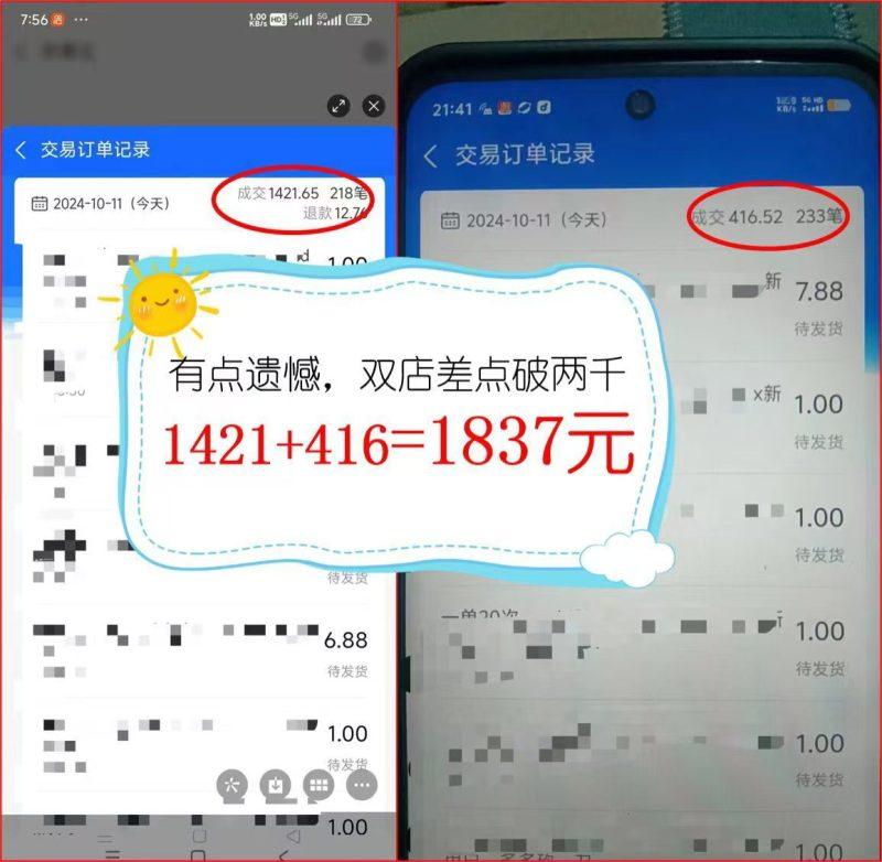 2024年闲鱼虚拟资产 日入2000+ 利用人性 让客户上瘾 不停地复购-3