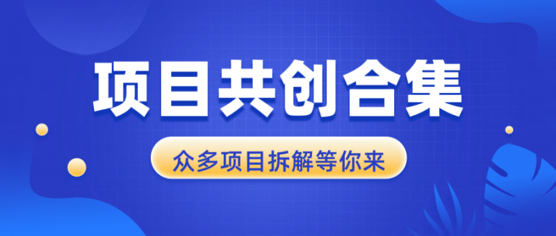 项目共创合集,从0-1全过程拆解,让你迅速找到适合自已的项目-1 项目共创合集,从0-1全过程拆解,让你迅速找到适合自已的项目-1