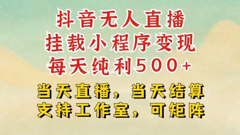 抖音无人挂机项目，轻松日入500+,挂载小程序玩法，不违规不封号，有号的一定挂起来