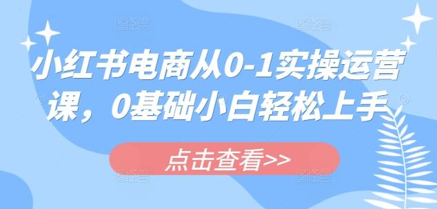小红书电商从0-1实操运营课,0基础小白轻松上手-1 小红书电商从0-1实操运营课,0基础小白轻松上手-1