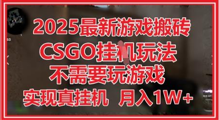 2025最新游戏搬砖,CSGO挂G,不需要玩游戏,实现真挂G,月入1W+-1 2025最新游戏搬砖,CSGO挂G,不需要玩游戏,实现真挂G,月入1W+-1