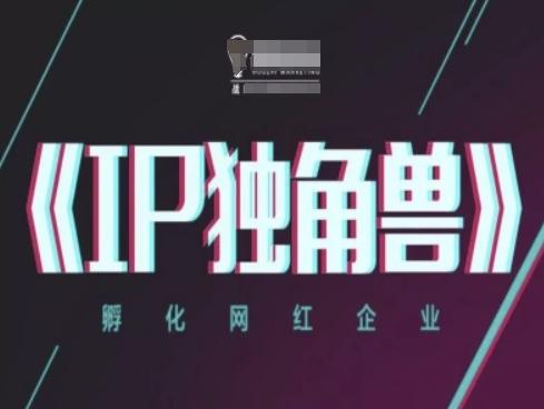 IP独角兽,孵化网红企业,ip教程-1 IP独角兽,孵化网红企业,ip教程-1