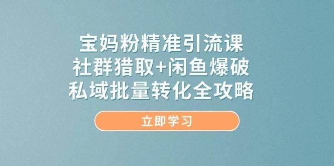 宝妈粉精准引流课，社群猎取+闲鱼爆破，私域批量转化全攻略
