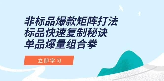 非标品爆款矩阵打法，标品快速复制秘诀，单品爆量组合拳