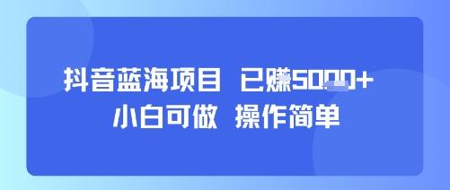抖音蓝海项目，小白可做，操作简单，可批量制作，已挣5k+