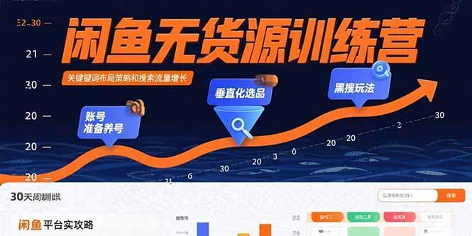 闲鱼无货源训练营：账号准备养号/垂直化选品/黑搜玩法，0基础30天盈利指南-1