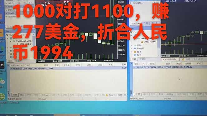 稳定8年的美刀搬砖项目，单人每日收益800—3000.团队4人月入10W+.可线下-6