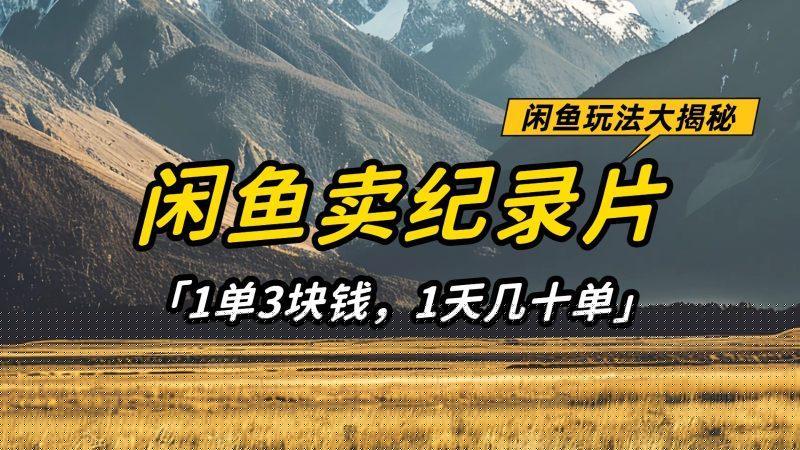 闲鱼卖纪录片，简单又赚钱的小项目，1单3块钱  1天几十单