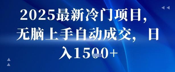 2025最新冷门项目，无脑上手自动成交，日入多张-1