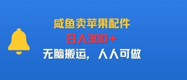 咸鱼卖苹果配件，日入3张+，无脑搬运，人人可做-1