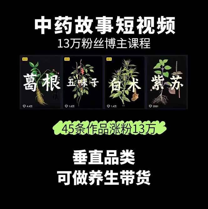 中药文化赛道：溯源故事开发，AI工具实战，平台运营，全方位解锁中医流量变现新路径-2