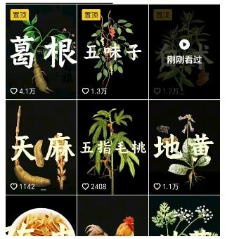 抖音中草药赛道，用AI做中草药故事视频，45条作品涨粉13W，橱窗带货猛猛出单-2