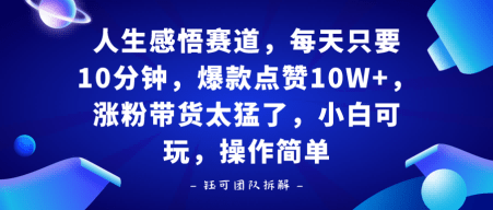 人生感悟赛道，每天只要十分钟，爆款点赞10W+，涨粉带货太猛了，小白可玩，操作简单