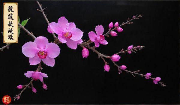 副业项目推荐理由简短精辟：一针见血挑出真正赚钱机会