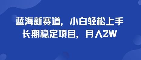 蓝海新赛道，小白轻松上手，长期稳定项目，月入2W