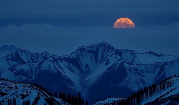 副业月入过万能辞职吗？我的亲身经历揭晓答案