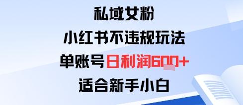 私域女粉：小红书平台不违规玩法单账号日利润6张+适合新手小白