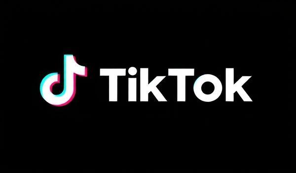 TikTok跨境电商登录入口终极攻略，亲测避坑指南