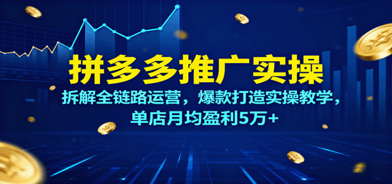 拼多多推广实操，拆解全链路运营，爆款打造实操教学，单店月均盈利5万+
