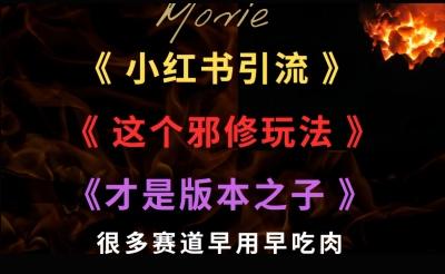 最近小红书引流这个邪修玩法才是版本之子,很多赛道早用早吃肉-1 最近小红书引流这个邪修玩法才是版本之子,很多赛道早用早吃肉-1