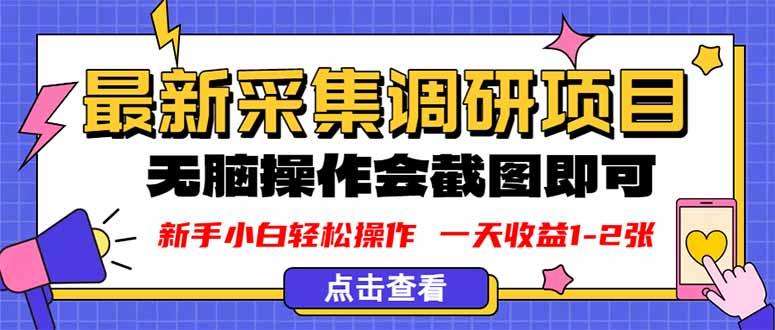 新版采集调研项目，截图上传即可，无脑操作，日收益1-2张