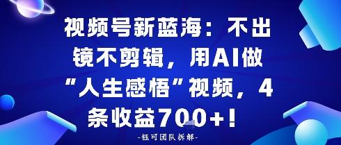 视频号新蓝海：不出镜不剪辑，用AI做“人生感悟”视频，4条收益7张