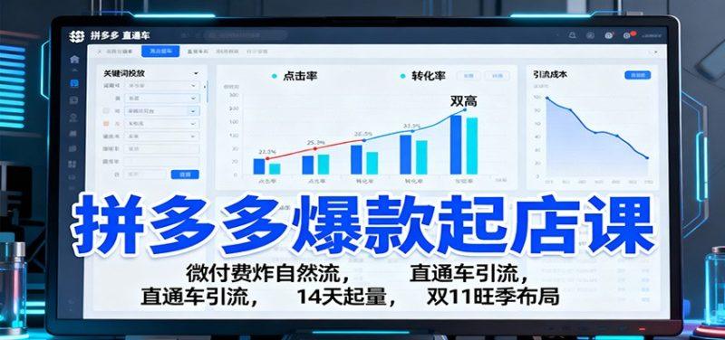 拼多多爆款起店课:微付费炸自然流,直通车引流,14天起量,双11旺季布局-1 拼多多爆款起店课:微付费炸自然流,直通车引流,14天起量,双11旺季布局-1