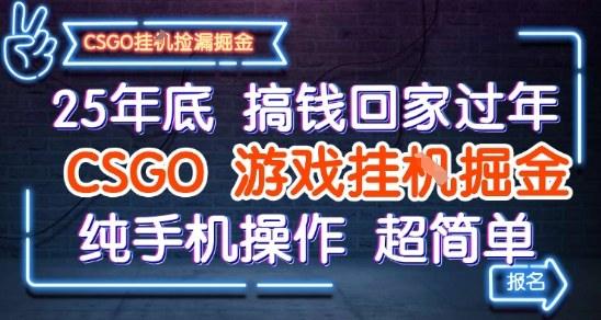 25年底搞钱回家过年,CSGO游戏挂G掘金,纯手机操作超简单【揭秘】-1 25年底搞钱回家过年,CSGO游戏挂G掘金,纯手机操作超简单【揭秘】-1