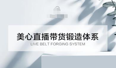 直播带货锻造体系课,5G时代美心一站式帮你开启直播带货之路【音频】-1 直播带货锻造体系课,5G时代美心一站式帮你开启直播带货之路【音频】-1
