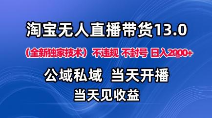 淘宝无人直播13.0，公域私域技术，不封号，不违规布局下半年旺季赛道，日入1K+（独家技术）【揭秘】