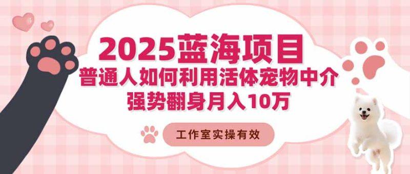 2025蓝海项目:普通人如何利用活体宠物中介,强势翻身月入10万-1 2025蓝海项目:普通人如何利用活体宠物中介,强势翻身月入10万-1