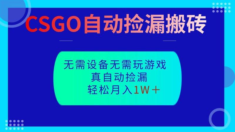 CSGO自动捡漏搬砖,当天操作当天见结果,无需了解游戏,包教包会包落地-1 CSGO自动捡漏搬砖,当天操作当天见结果,无需了解游戏,包教包会包落地-1
