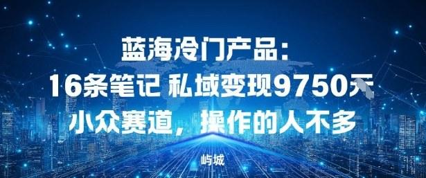 蓝海冷门产品：16条笔记私域变现9750米，小众赛道，操作的人不多