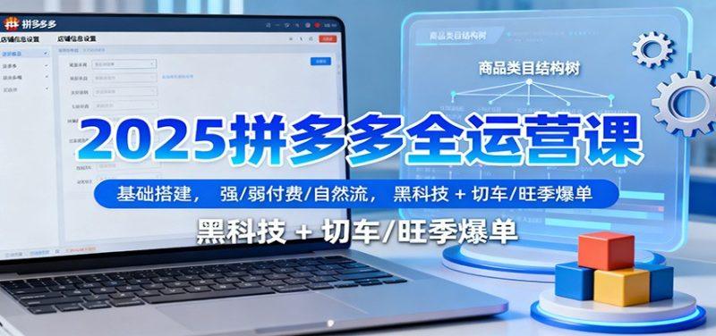 2025拼多多全运营课:基础搭建,强/弱付费/自然流,黑科技 + 切车/旺季爆单-1 2025拼多多全运营课:基础搭建,强/弱付费/自然流,黑科技 + 切车/旺季爆单-1