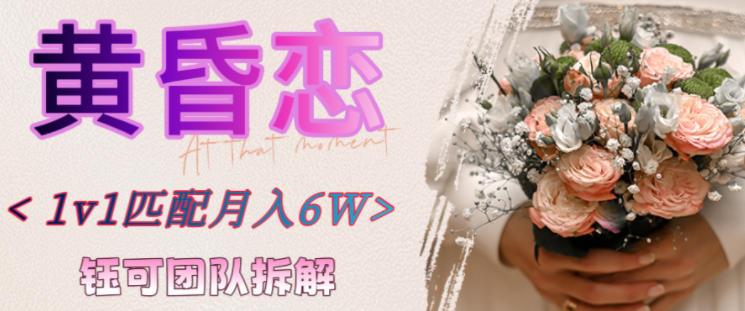 副业拆解:黄昏恋1对1匹配月入6个,潜力巨大-1 副业拆解:黄昏恋1对1匹配月入6个,潜力巨大-1