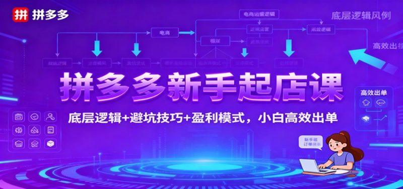 拼多多新手起店课：底层逻辑+避坑技巧+盈利模式，小白高效出单